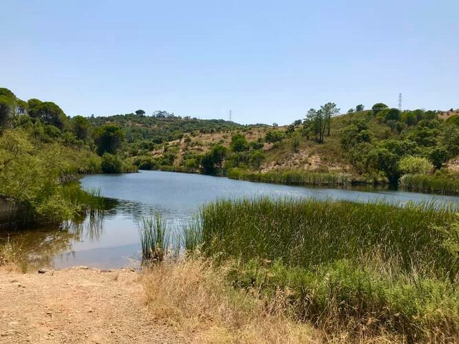 Descubra São Brás de Alportel Descubra São Brás de Alportel
