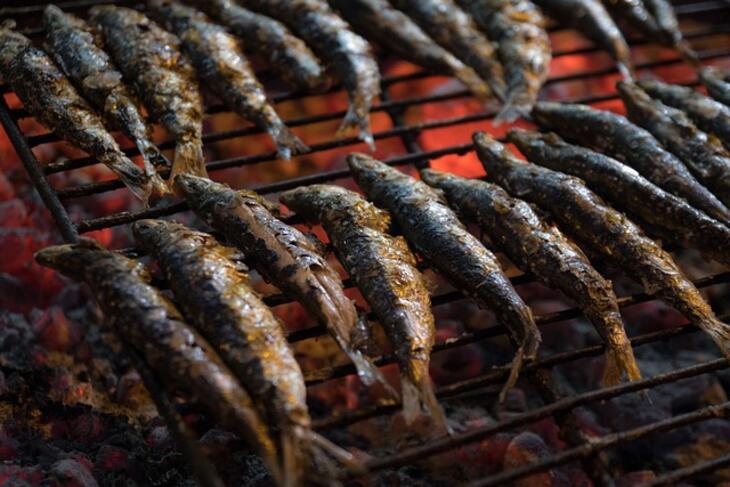 Discover the Sardine Festival in Portimão 2025