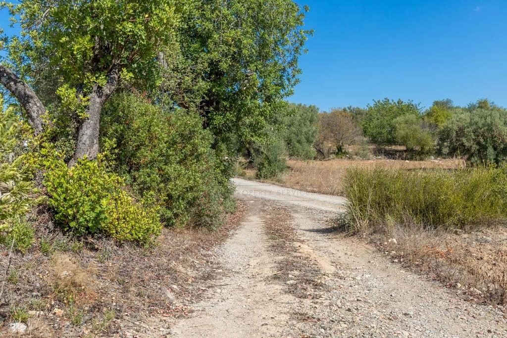 4 Bedroom Land For Sale in Santa Catarina da Fonte do Bispo 4 Bedroom Land For Sale in Santa Catarina da Fonte do Bispo