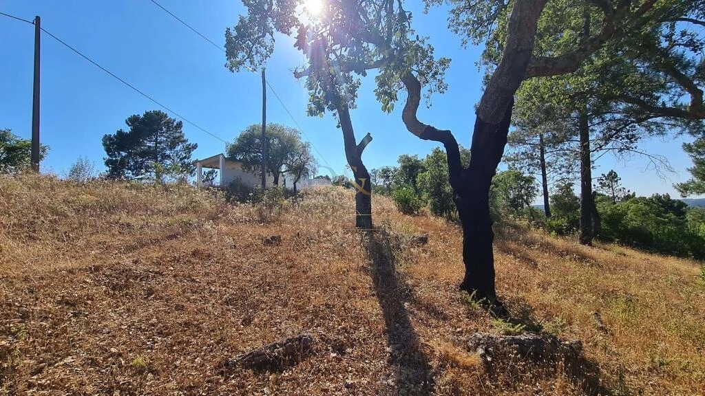 Land For Sale in São Brás de Alportel Land For Sale in São Brás de Alportel