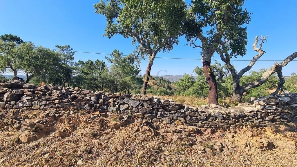 Land For Sale in São Brás de Alportel Land For Sale in São Brás de Alportel