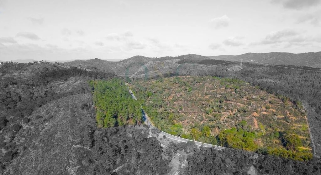 Land For Sale in São Brás de Alportel Land For Sale in São Brás de Alportel