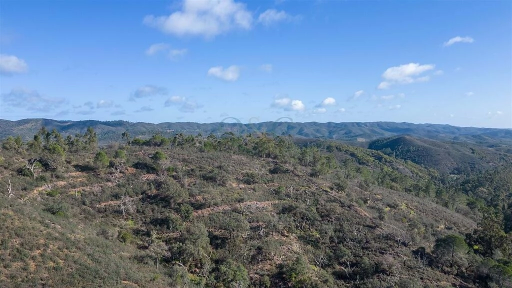 Land For Sale in São Brás de Alportel Land For Sale in São Brás de Alportel