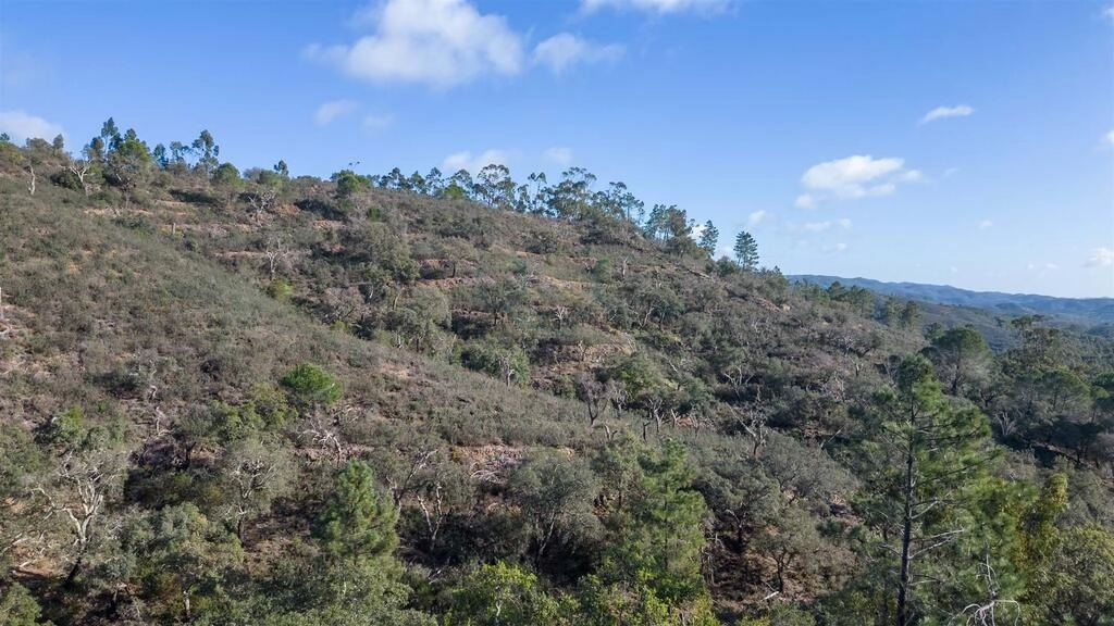 Land For Sale in São Brás de Alportel Land For Sale in São Brás de Alportel