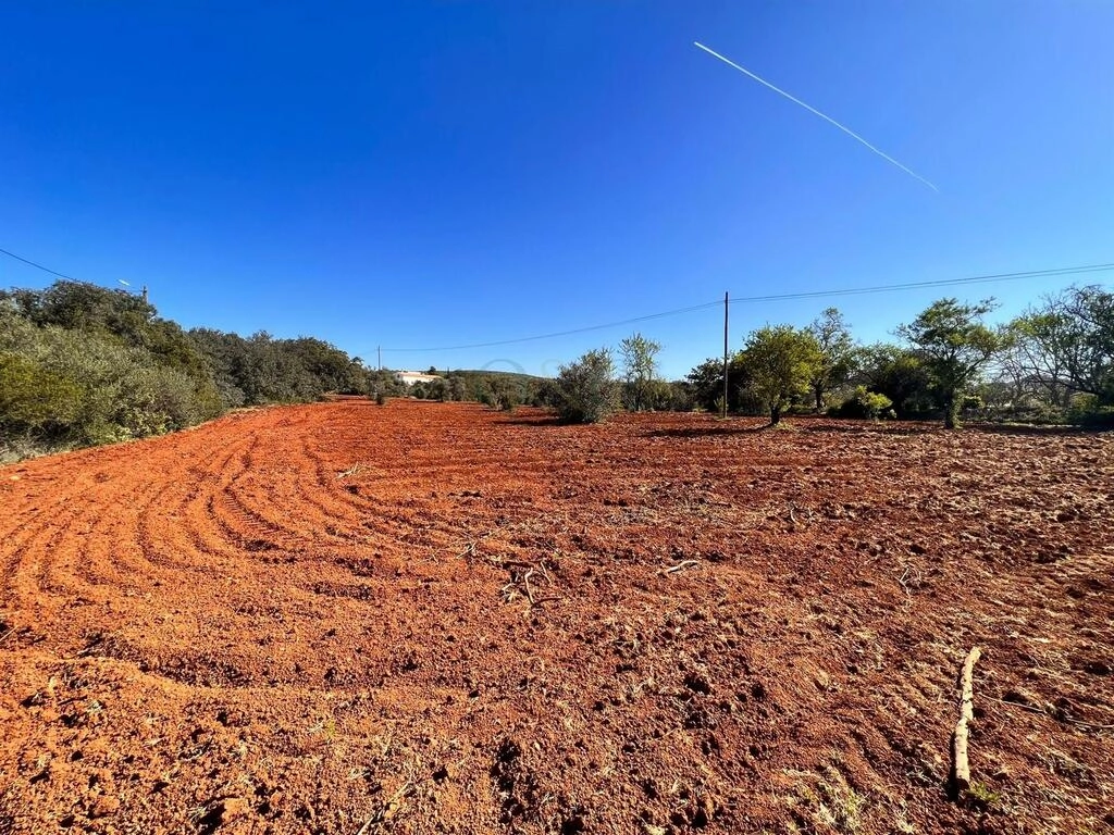 Rural land For Sale in São Brás de Alportel Rural land For Sale in São Brás de Alportel