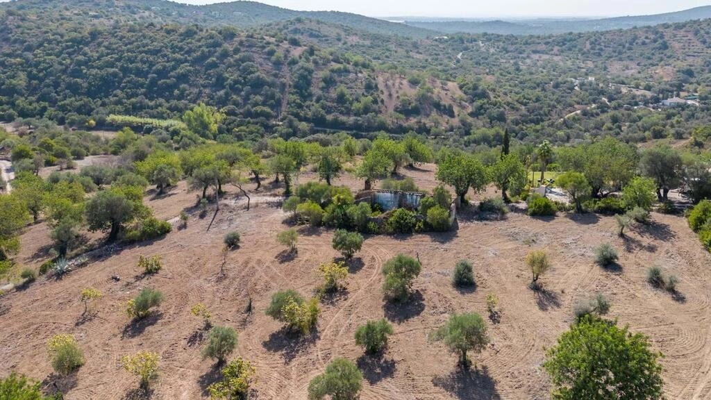 Land avec 4 chambres à vendre à Santa Catarina da Fonte do B Land avec 4 chambres à vendre à Santa Catarina da Fonte do B