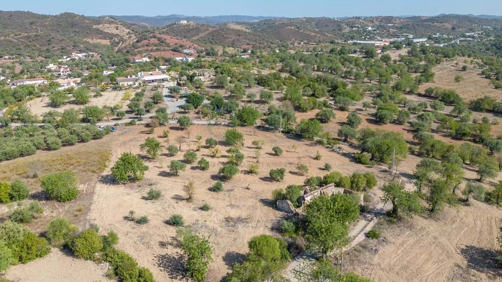 Land avec 4 chambres à vendre à Santa Catarina da Fonte do B Land avec 4 chambres à vendre à Santa Catarina da Fonte do B
