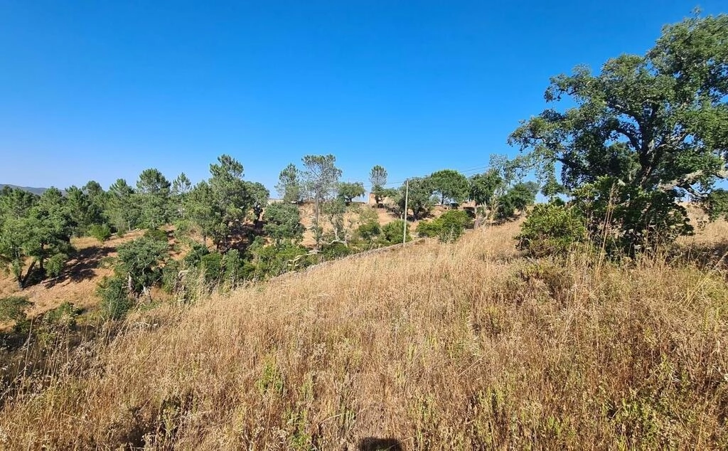 Land à vendre à São Brás de Alportel Land à vendre à São Brás de Alportel