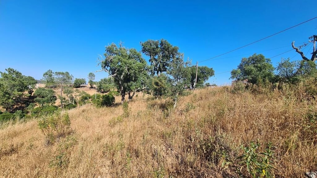 Land à vendre à São Brás de Alportel Land à vendre à São Brás de Alportel
