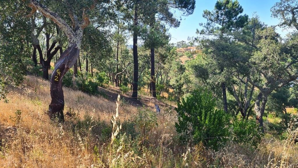 Land à vendre à São Brás de Alportel Land à vendre à São Brás de Alportel