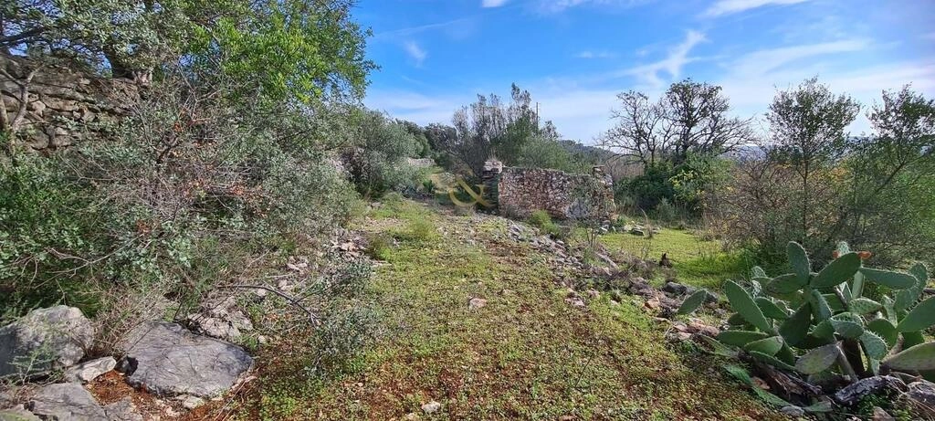 Urban land à vendre à São Brás de Alportel Urban land à vendre à São Brás de Alportel