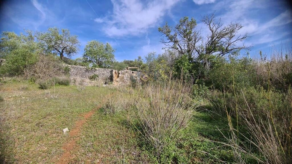 Urban land à vendre à São Brás de Alportel Urban land à vendre à São Brás de Alportel