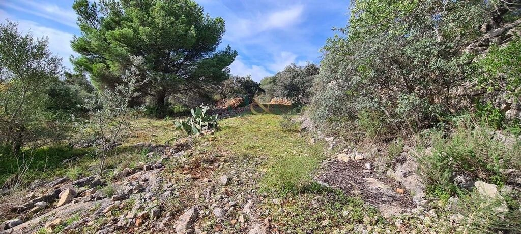 Urban land à vendre à São Brás de Alportel Urban land à vendre à São Brás de Alportel