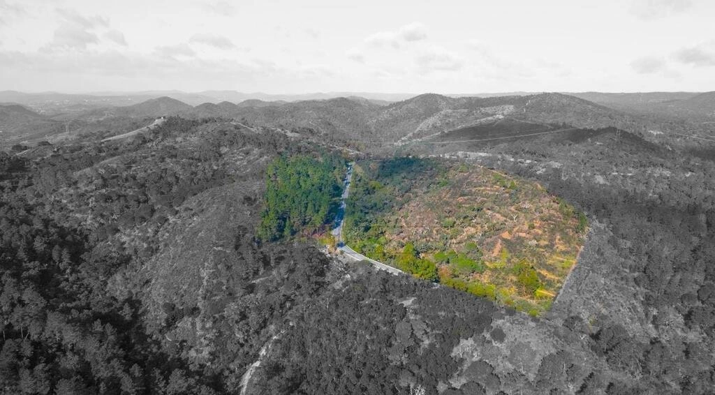 Land à vendre à São Brás de Alportel Land à vendre à São Brás de Alportel