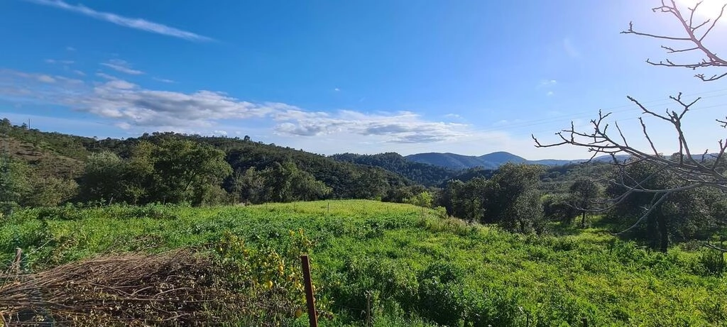 5 Bedroom Farmhouse For Sale in Salir 5 Bedroom Farmhouse For Sale in Salir