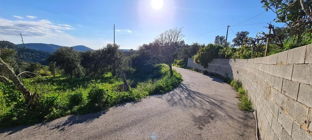 5 Bedroom Farmhouse For Sale in Salir 5 Bedroom Farmhouse For Sale in Salir