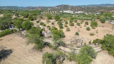4 Bedroom Land For Sale in Santa Catarina da Fonte do Bispo