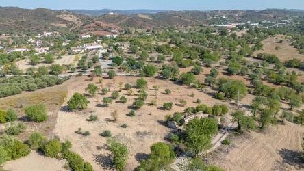 4 Bedroom Land For Sale in Santa Catarina da Fonte do Bispo