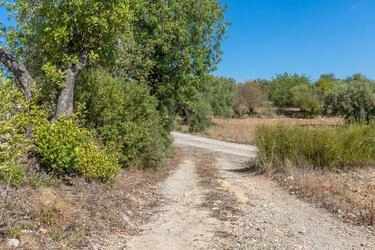 4 Bedroom Land For Sale in Santa Catarina da Fonte do Bispo