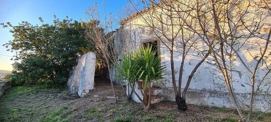 Land with project For Sale in São Brás de Alportel