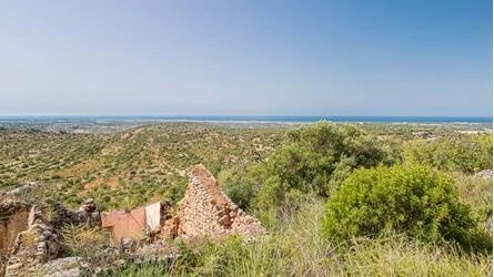 Ruin For Sale in Loulé (São Sebastião)