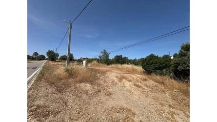 Land For Sale in Salir
