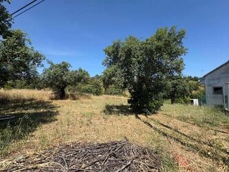 Land For Sale in Salir