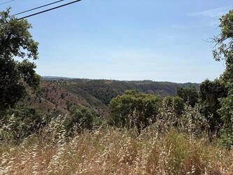 Land For Sale in Salir