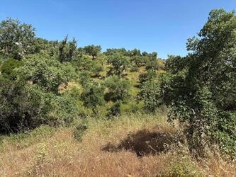 Land For Sale in Salir