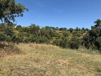 Land For Sale in Salir