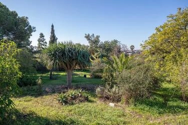 Villa to be renovated For Sale in Loulé (São Clemente)
