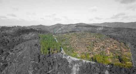 Land For Sale in São Brás de Alportel