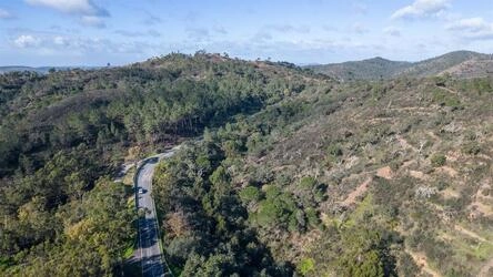 Land For Sale in São Brás de Alportel