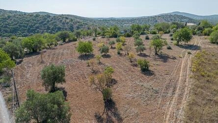Land avec 4 chambres à vendre à Santa Catarina da Fonte do B