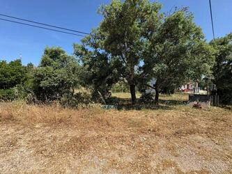 Land à vendre à Salir