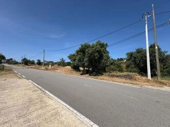 Land à vendre à Salir