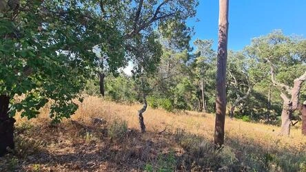 Land à vendre à São Brás de Alportel
