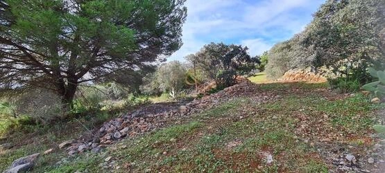 Urban land à vendre à São Brás de Alportel