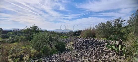 Urban land à vendre à São Brás de Alportel