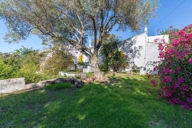 Villa to be renovated à vendre à Loulé (São Clemente)