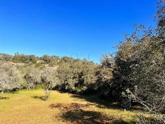 Ruin à vendre à São Brás de Alportel