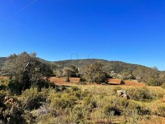 Ruin à vendre à São Brás de Alportel