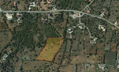 Ruin à vendre à São Brás de Alportel