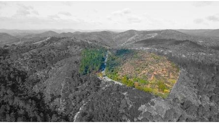 Land à vendre à São Brás de Alportel