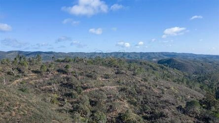 Land à vendre à São Brás de Alportel