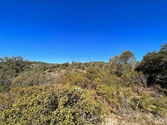 Rural land à vendre à São Brás de Alportel