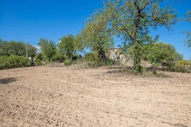 Land com 4 quartos à venda em Santa Catarina da Fonte do Bis
