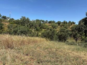 Land à venda em Salir