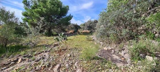 Urban land à venda em São Brás de Alportel