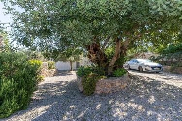 4 Bedroom Farmhouse For Sale in São Brás de Alportel